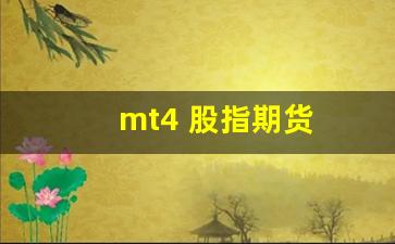 mt4 股指期货(股指交易软件mt4)_https://www.qldgs.com_原油期货_第1张